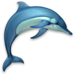 Dolphins 3D