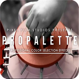 PIXEL FILM STUDIOS - PROPALETTE